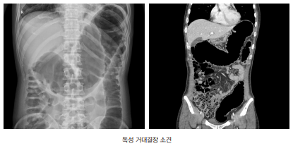 대한장연구학회